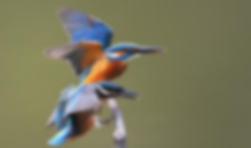 u=571618658,2403670573&fm=27&gp=0.jpg